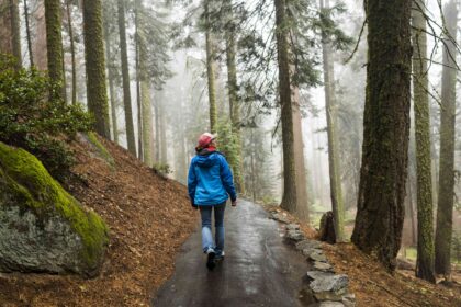 Les bienfaits de la méditation en marchant et comment débuter