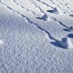 Comment l’échantillonnage en boule de neige est utilisé dans la recherche en psychologie