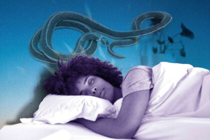 Que signifie rêver de serpents, selon les experts en rêves ?