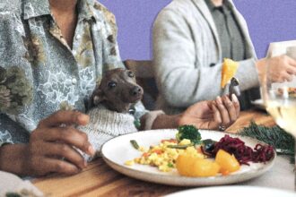 5 Raisons Surprenantes Pour Lesquelles Les Dîners Entre Amis Peuvent Atténuer Votre Anxiété Sociale
