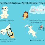 5 Théories Psychologiques Que Vous Devriez Connaître