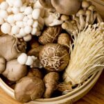 Les suppléments de champignons sont-ils la clé pour améliorer votre santé cérébrale ?