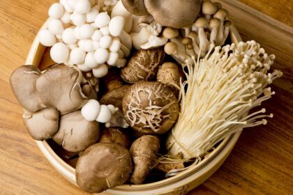 Les suppléments de champignons sont-ils la clé pour améliorer votre santé cérébrale ?